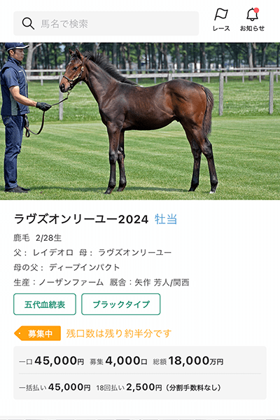 SP版取引ツール 募集馬画面