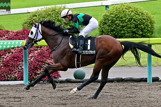 エブリワンブラック レース1