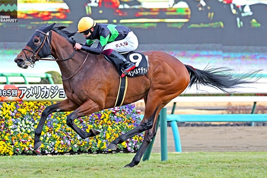 グランベルナデット 初富士ステークス
