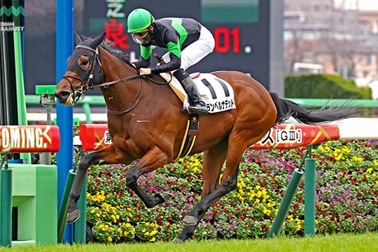 グランベルナデット 2歳未勝利