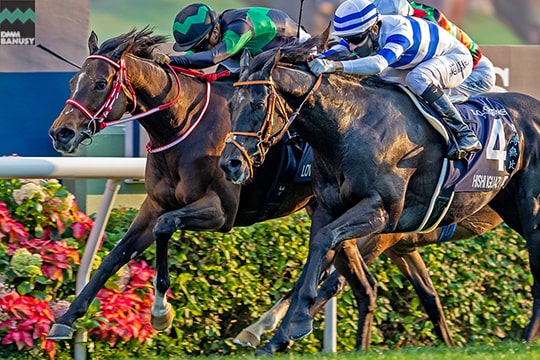 ラヴズオンリーユー レース写真 香港カップ