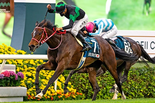 ラヴズオンリーユー レース写真 クイーンエリザベス2世カップ