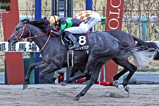 ミスティックロア レース2