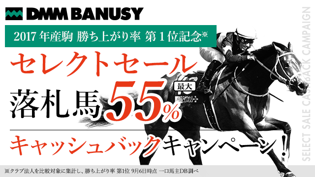 セレクトセール落札馬最大55%キャッシュバック!1/31まで。2019年産駒購入上限 1/4～1頭あたり50口までになりました。