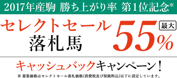 2017年産駒 勝ち上がり率 第1位記念※ セレクトセール落札馬最大55%キャッシュバックキャンペーン! ※募集価格はセレクトセール落札価格(消費税及び保険料込)以下に設定しています。