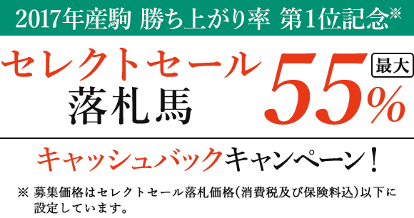 2017年産駒 勝ち上がり率 第1位記念※ セレクトセール落札馬最大55%キャッシュバックキャンペーン! ※募集価格はセレクトセール落札価格(消費税及び保険料込)以下に設定しています。