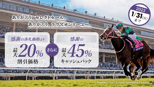 ありがとうキャンペーン