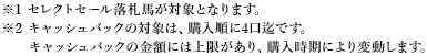 ※1 セレクトセール落札馬が対象となります。※2 キャッシュバックの対象は、購入順に4口迄です。キャッシュバックの金額には上限があり、購入時期により変動します。