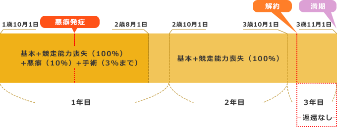 保険解約時の取扱い