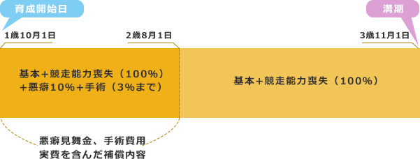 保険期間について