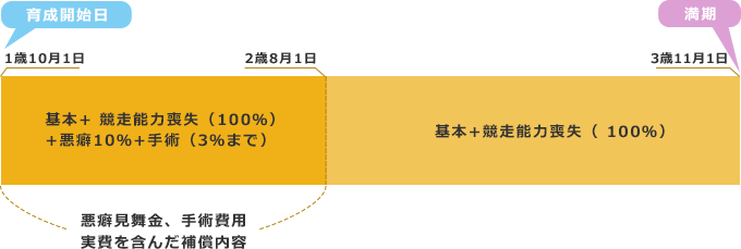 保険期間について
