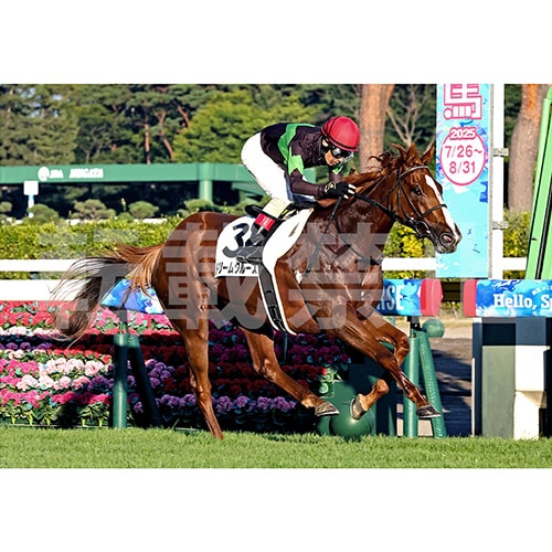 優勝記念写真イメージ ゴール前