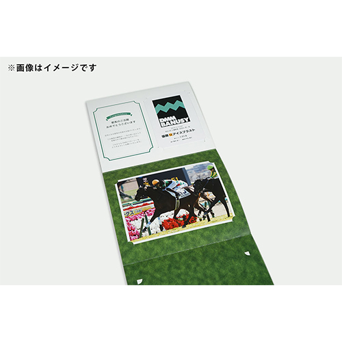 優勝記念写真セットイメージ ゴール前