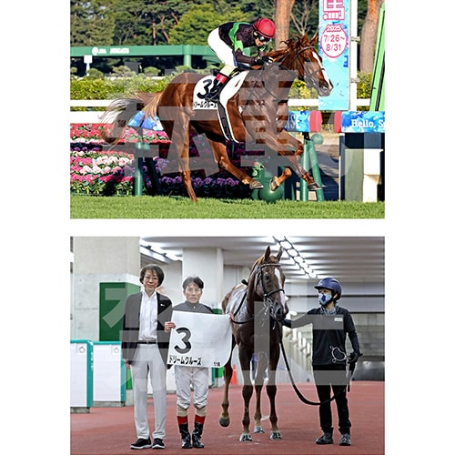 優勝記念写真セットイメージ