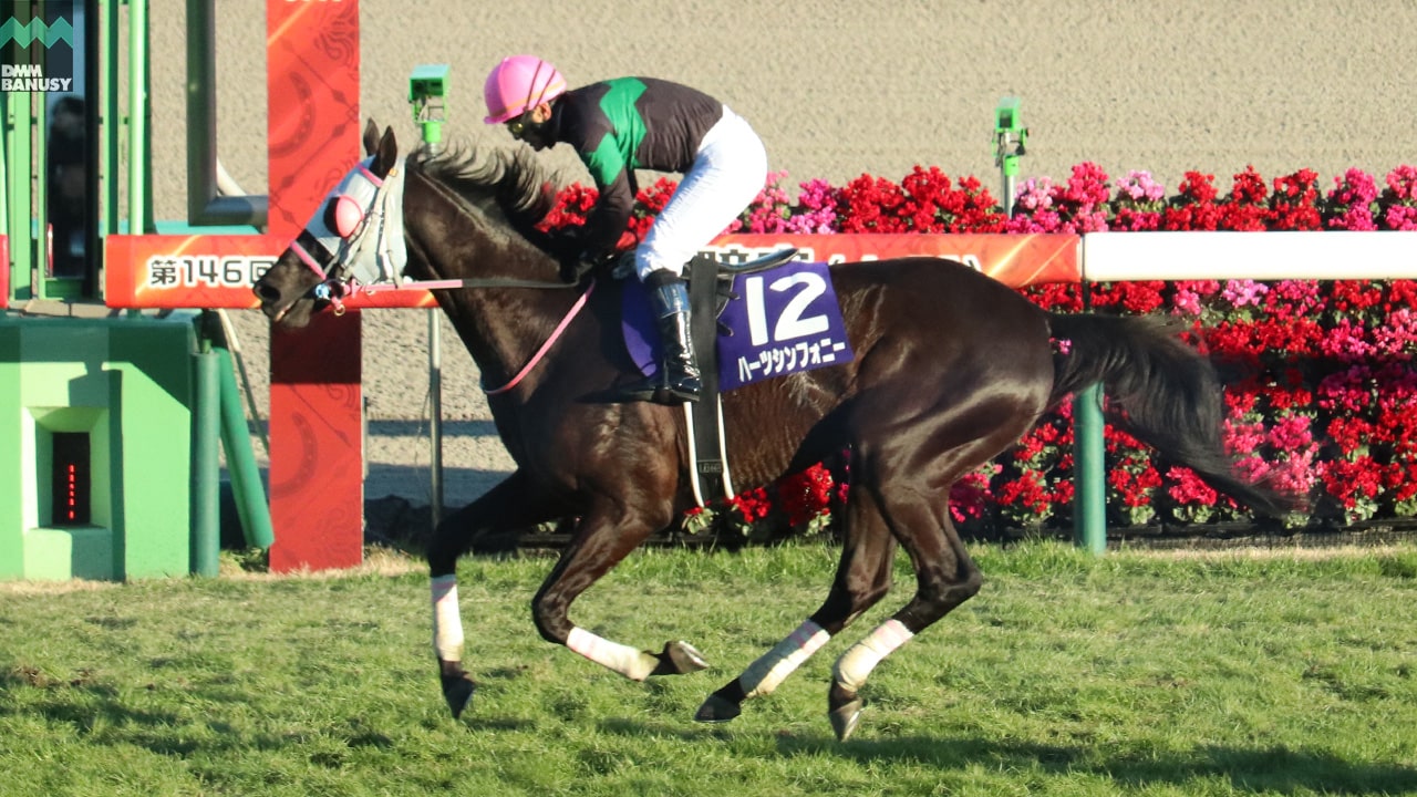 ハーツシンフォニーの競馬場における画像