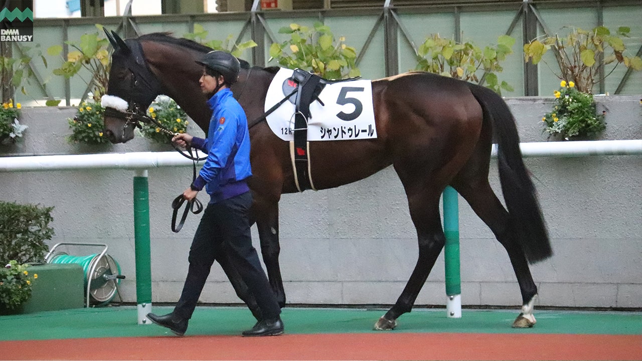 シャンドゥレール