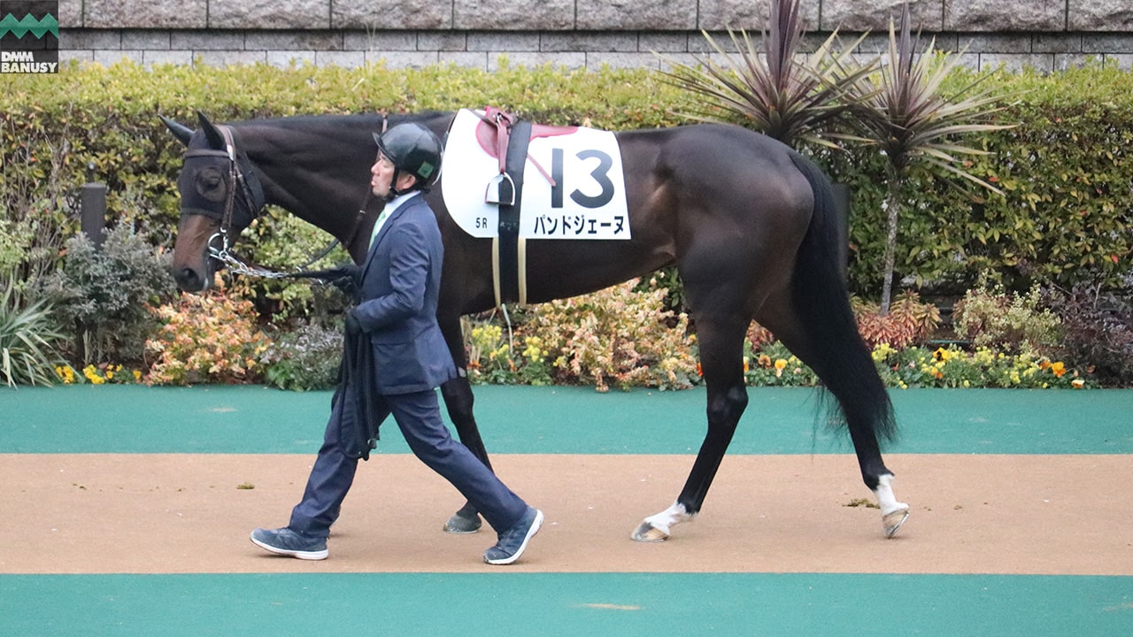 会報2024-06号 サムネイル
