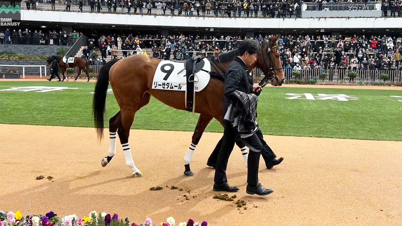 リーゼダムール