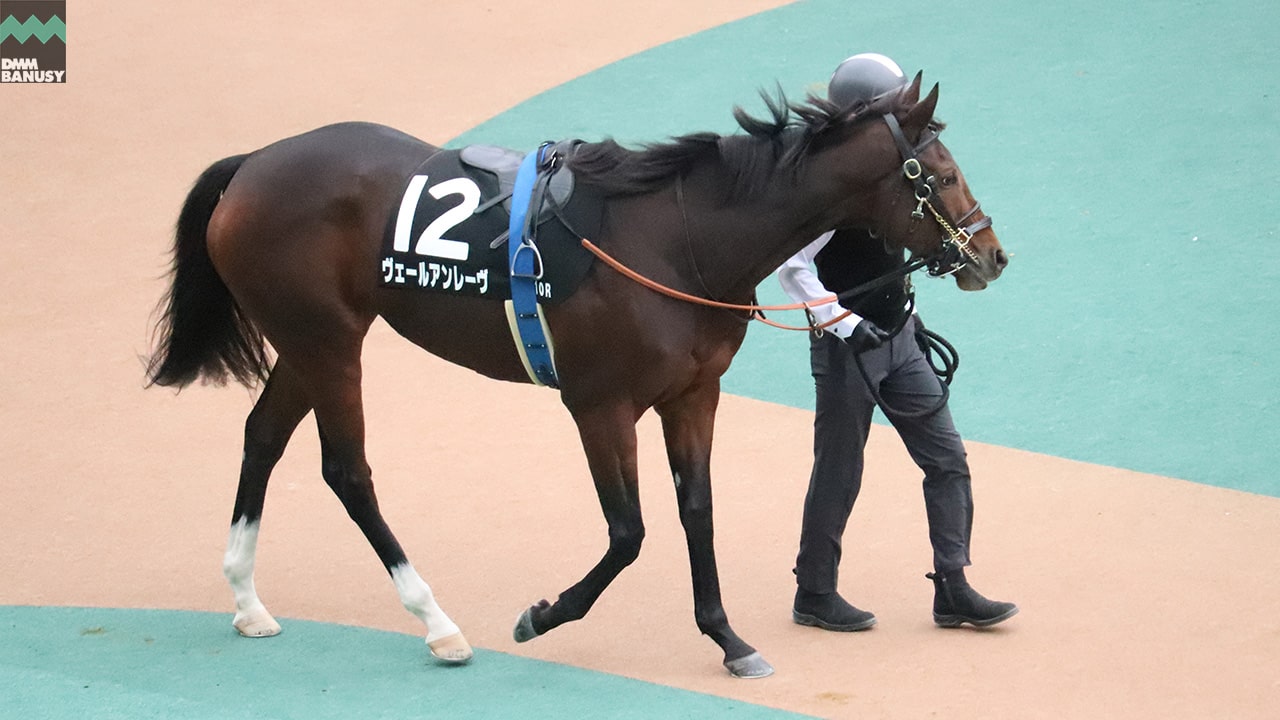 ヴェールアンレーヴ