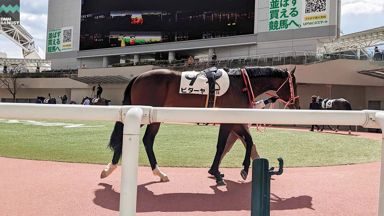 会報2024-13号 サムネイル