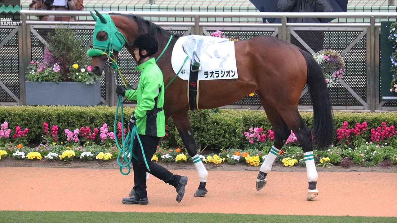 ラオラシオン