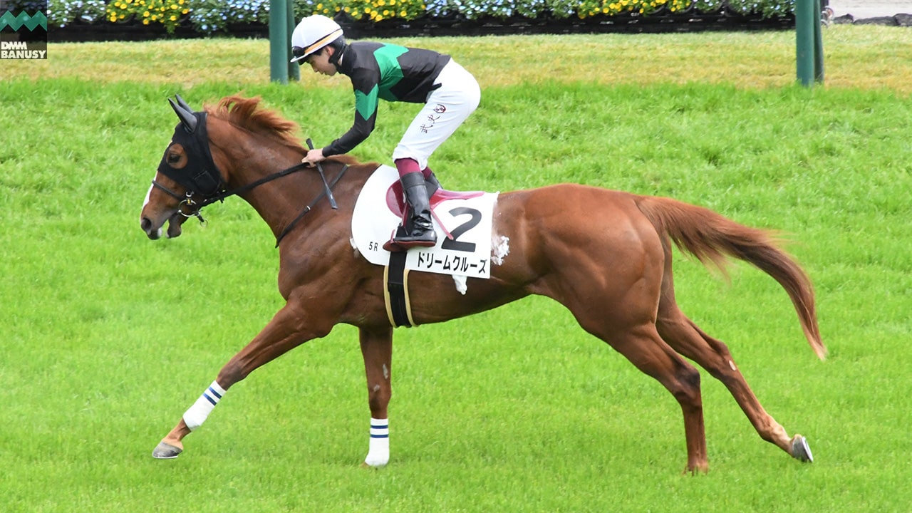 会報2024-17号 サムネイル