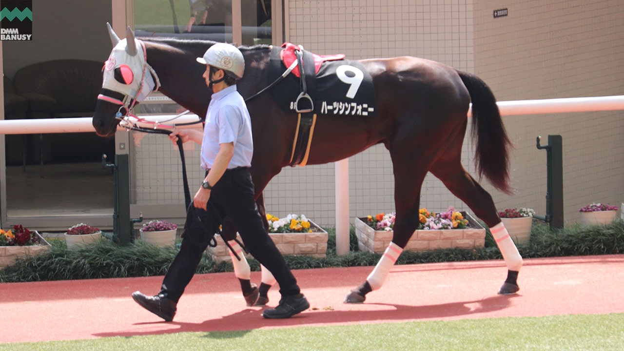 会報2024-20号 サムネイル