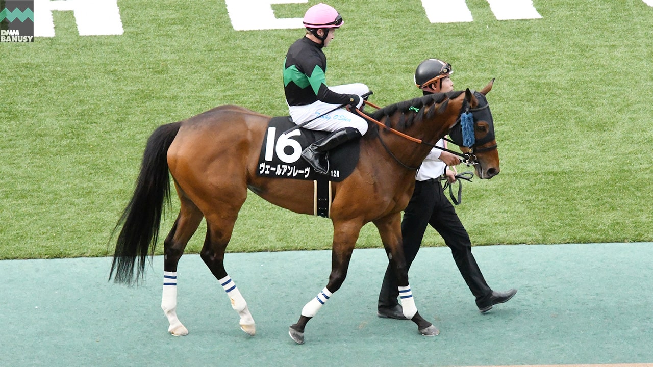 ヴェールアンレーヴ