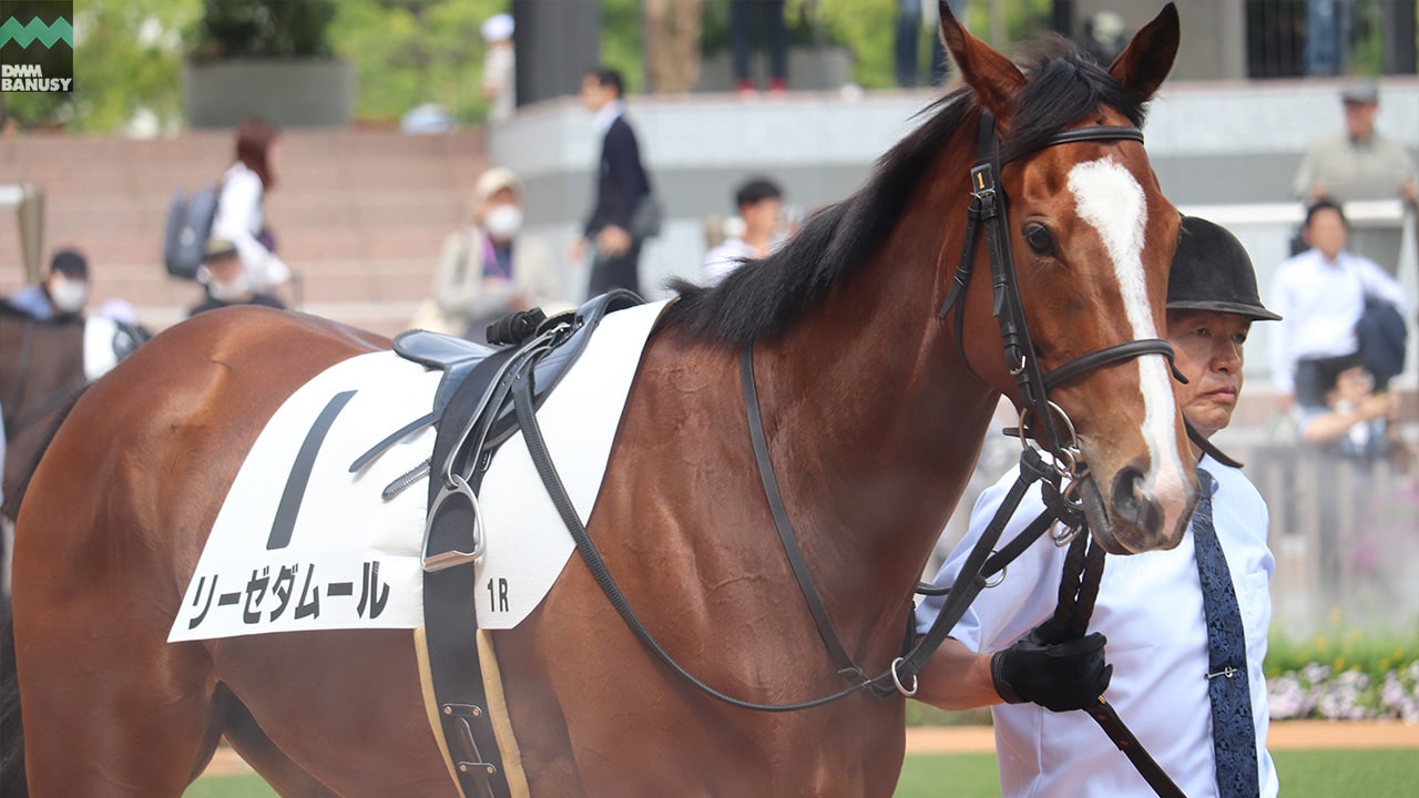 リーゼダムール