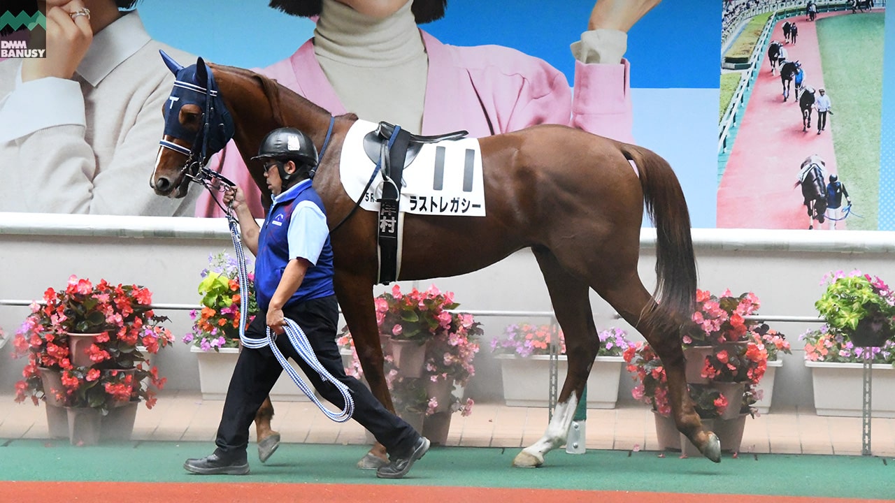 会報2024-26号 サムネイル