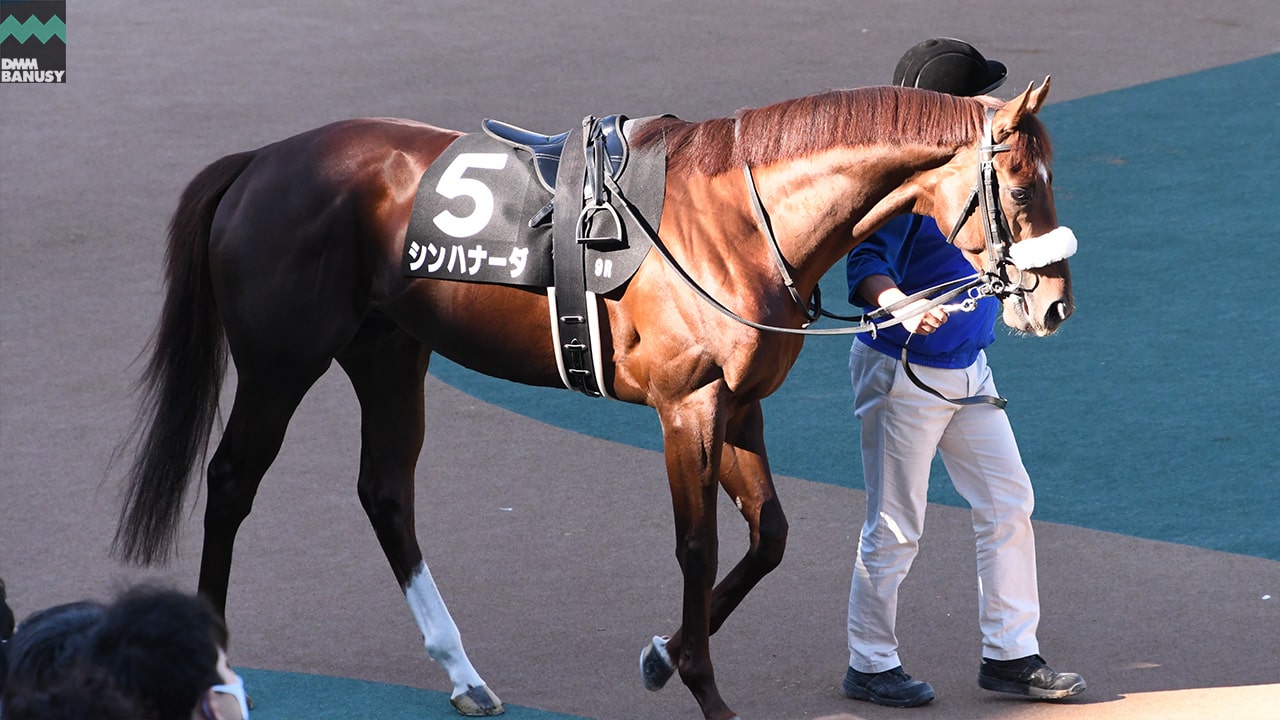 シンハナーダ
