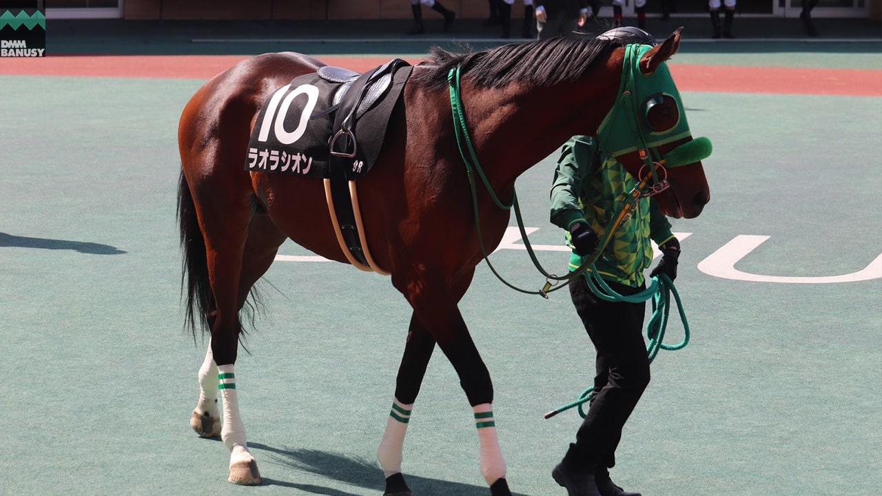 ラオラシオン