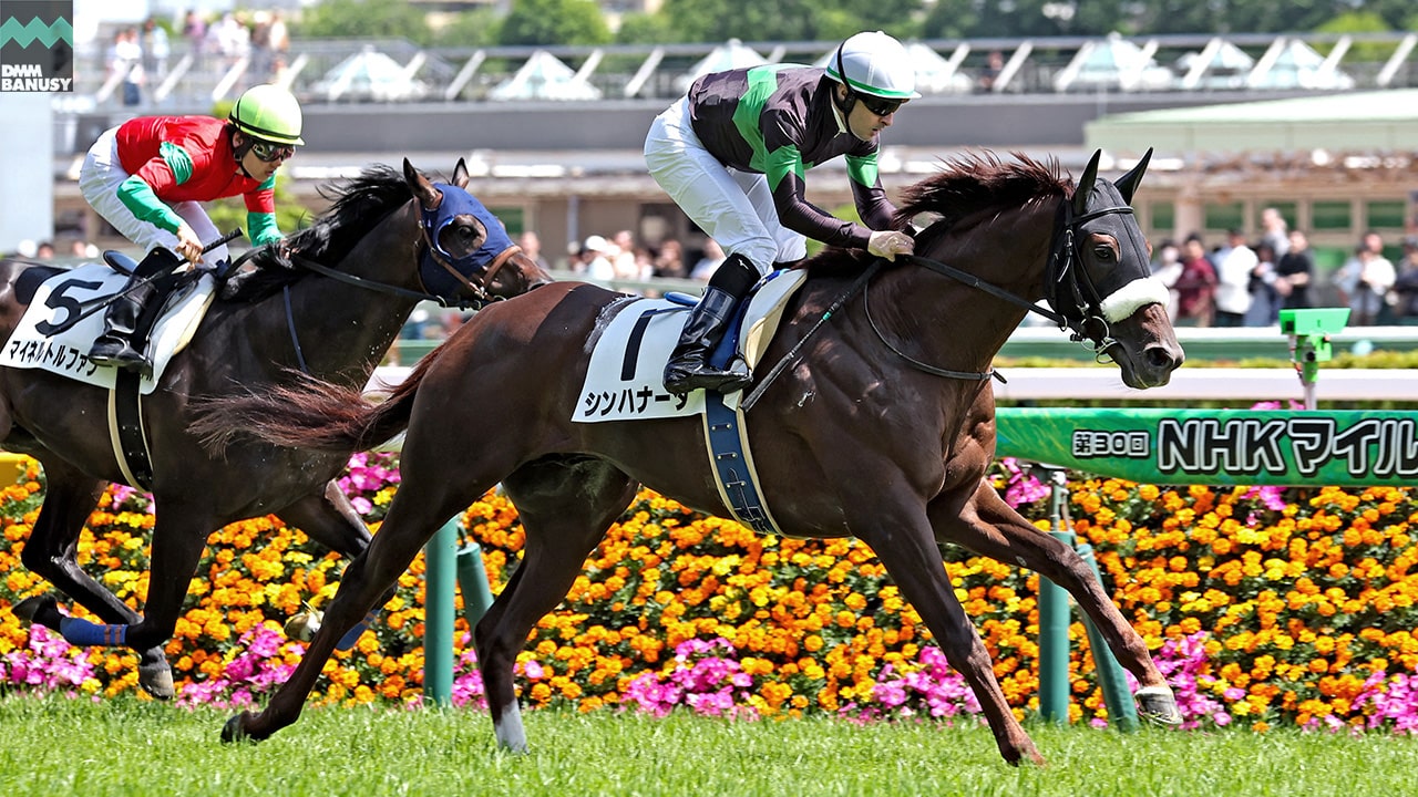 会報2025-16号・特別号 サムネイル