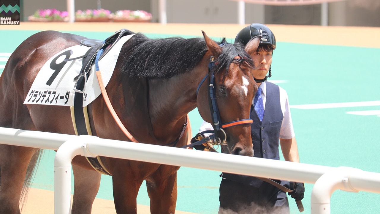 グランデスフィーダ
