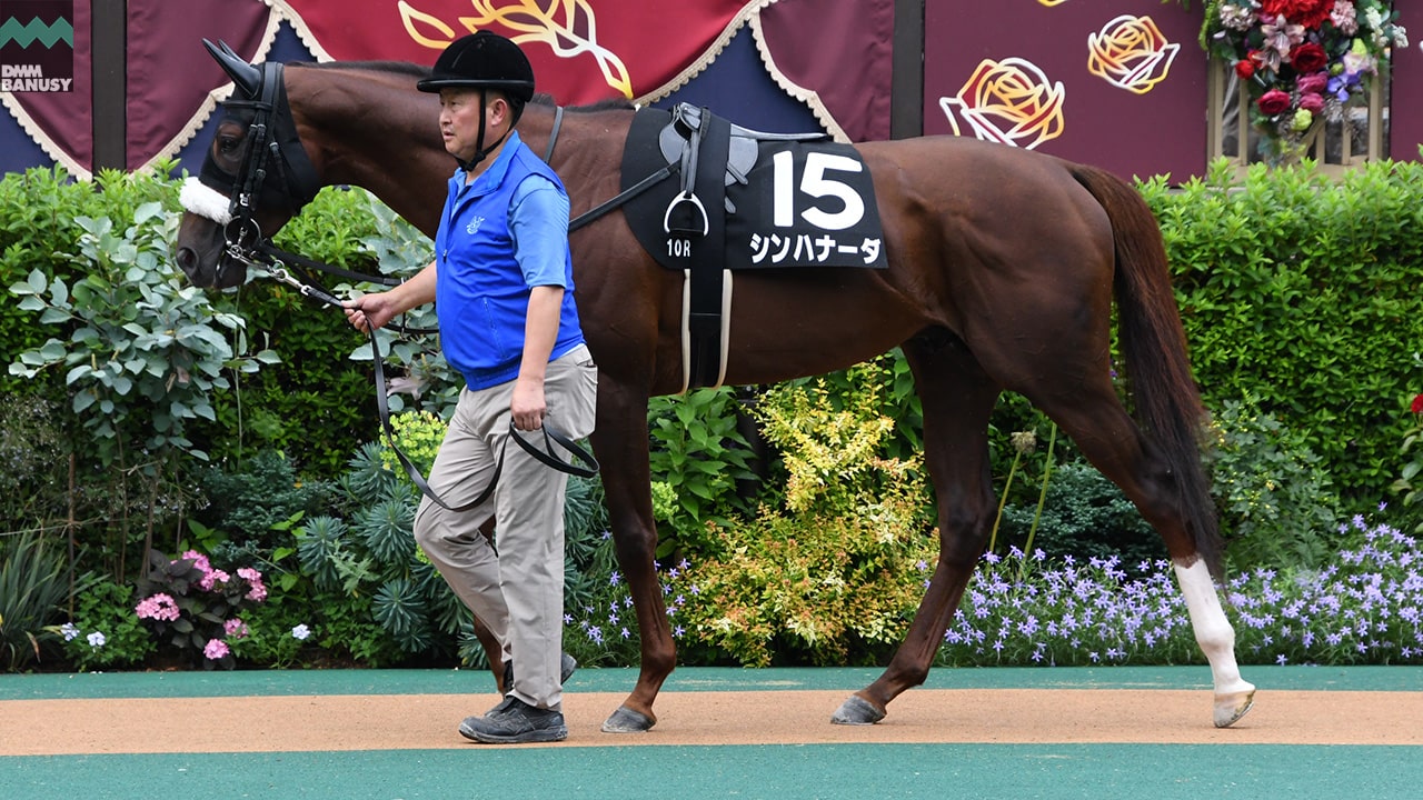 シンハナーダ
