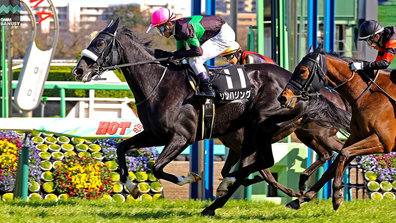2021-03-14の所属馬ニュースのサムネイル