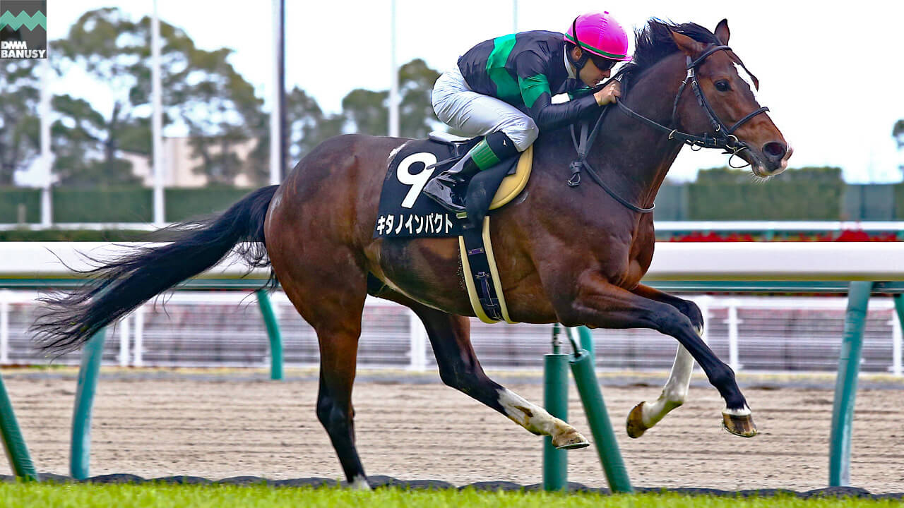 2021-03-20の所属馬ニュースのサムネイル