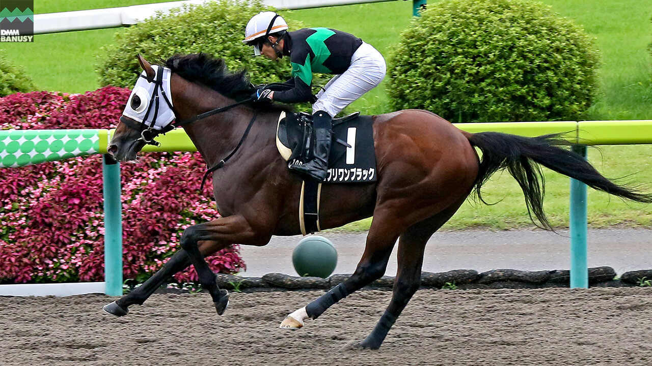 2021-07-11の所属馬ニュースのサムネイル