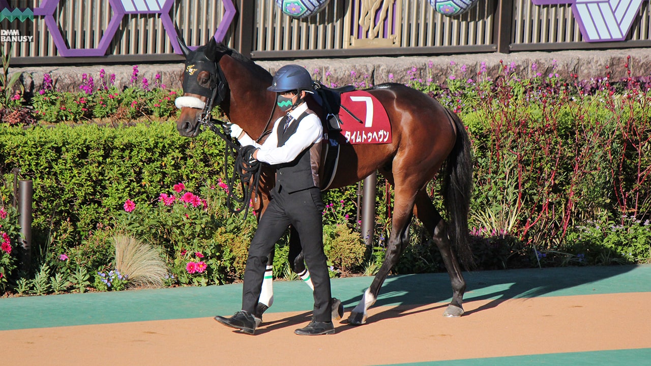 2021-11-05の所属馬ニュースのサムネイル