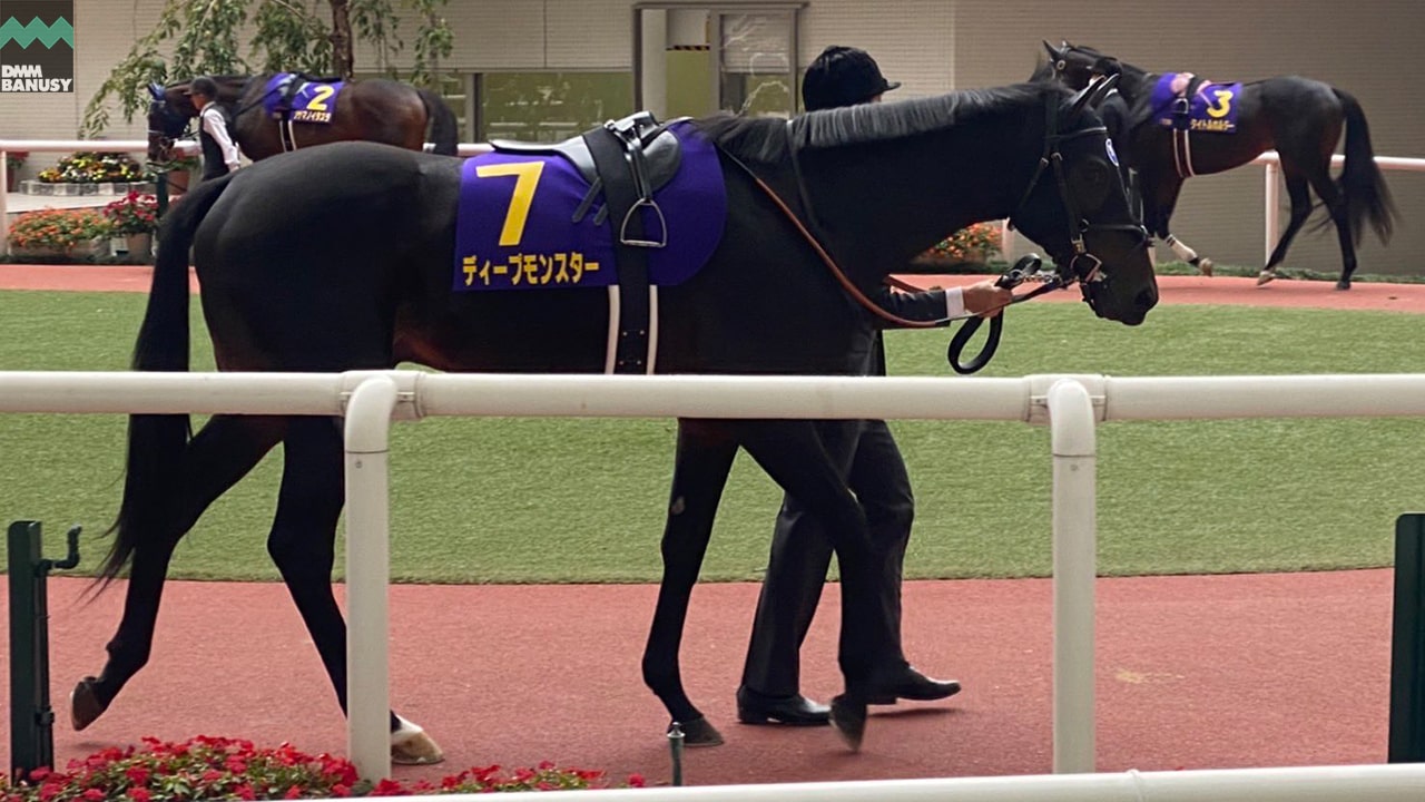 2021-11-05の所属馬ニュースのサムネイル