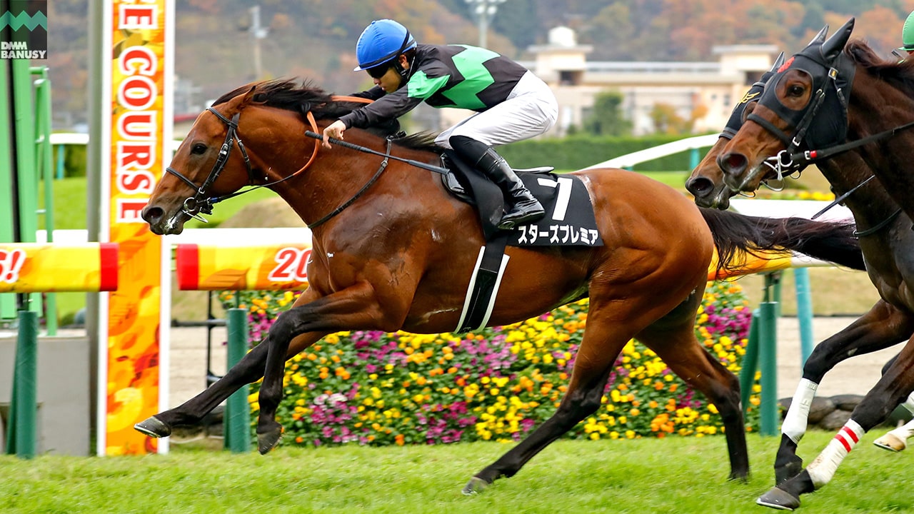 2021-11-25の所属馬ニュースのサムネイル