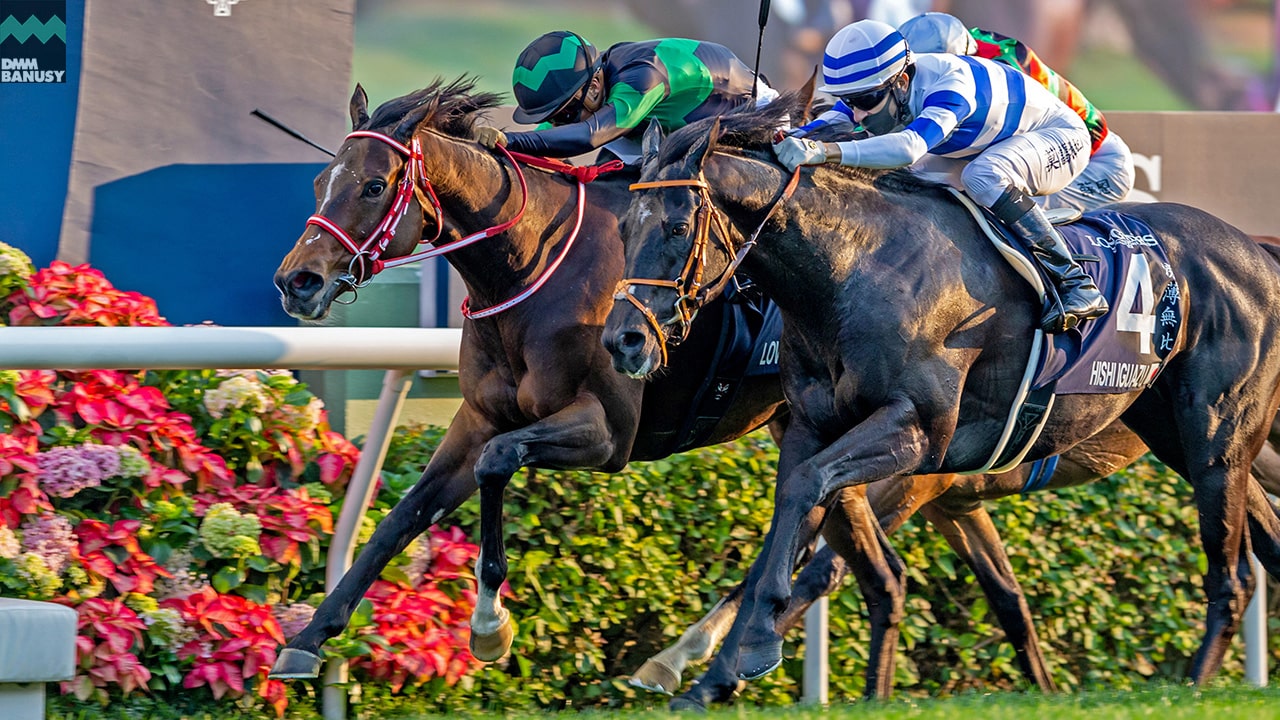 2021-12-15の所属馬ニュースのサムネイル