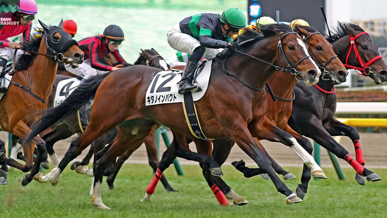 2022-02-22の所属馬ニュースのサムネイル