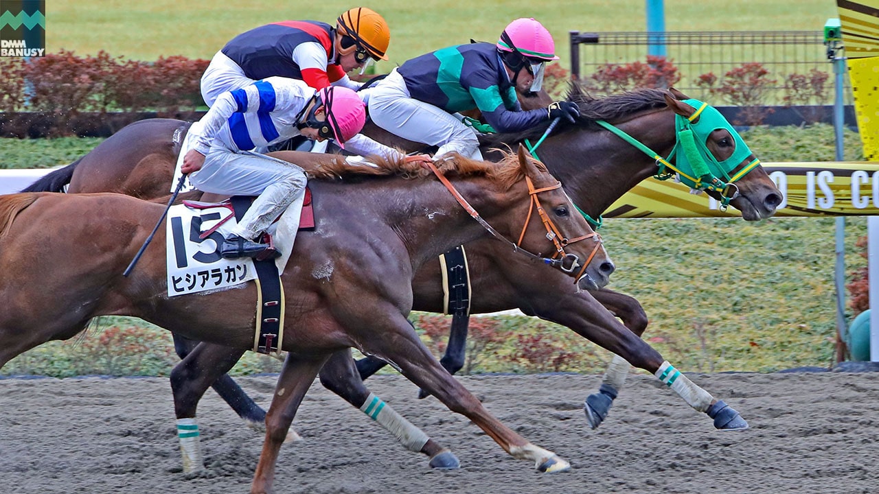 2022-02-22の所属馬ニュースのサムネイル