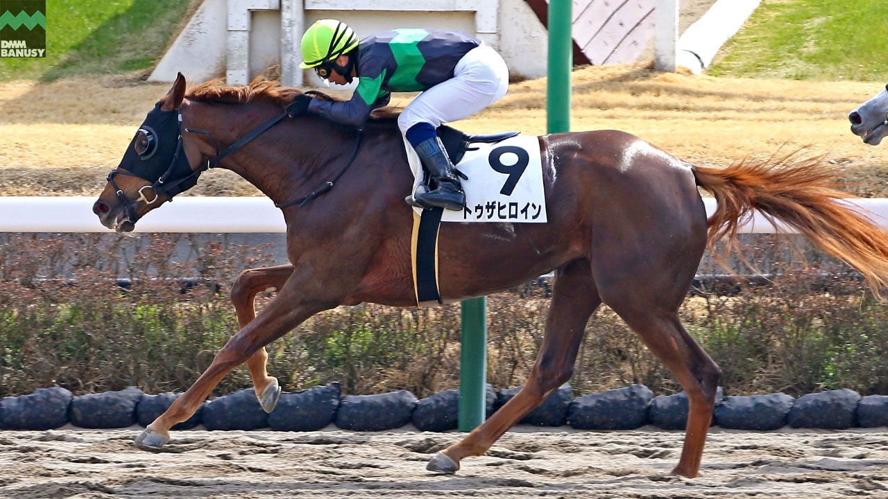 2022-03-16の所属馬ニュースのサムネイル