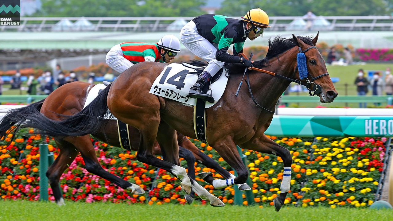 2022-05-06の所属馬ニュースのサムネイル