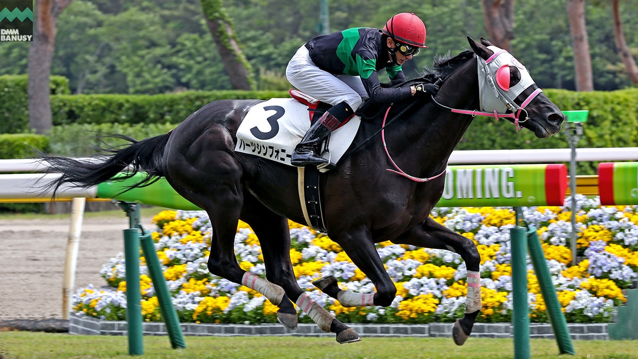 2022-05-17の所属馬ニュースのサムネイル