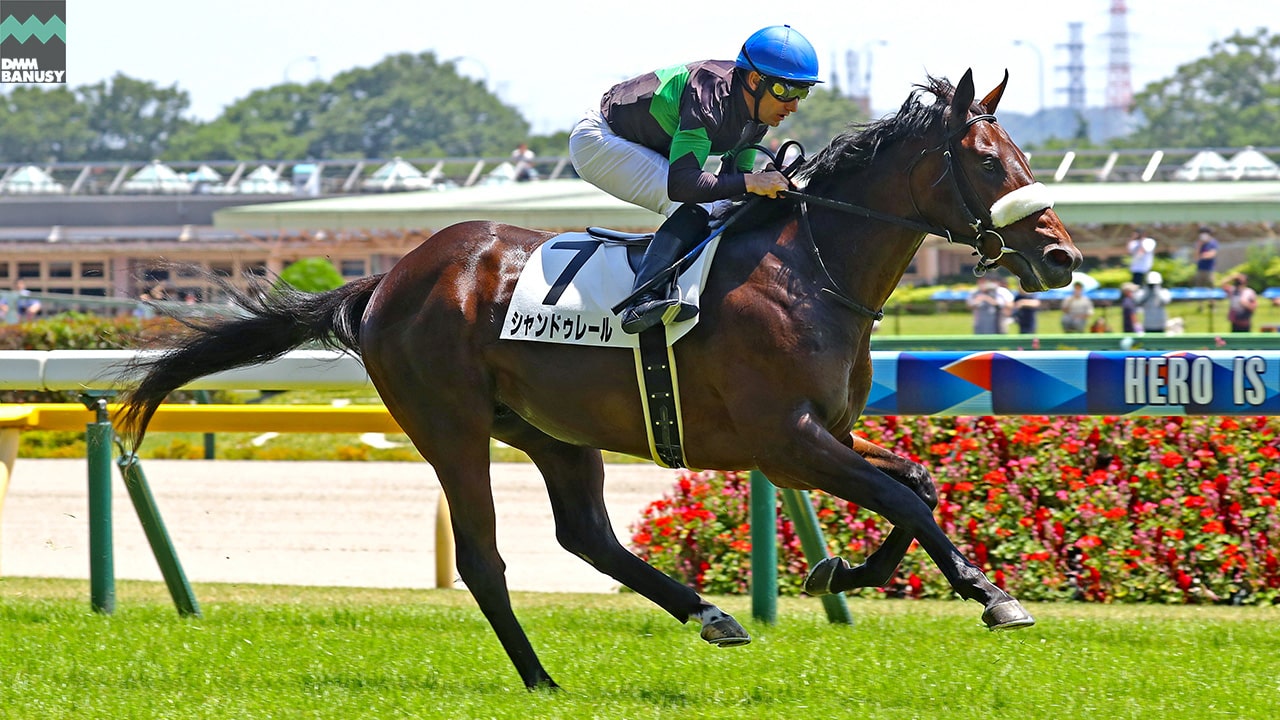 2022-06-28の所属馬ニュースのサムネイル