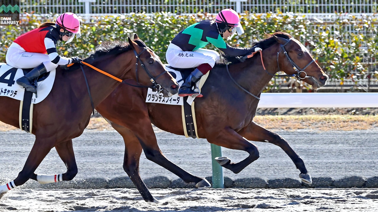 2022-12-07の所属馬ニュースのサムネイル