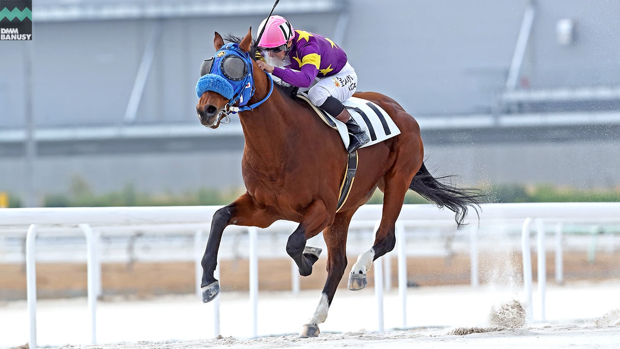 2022-12-22の所属馬ニュースのサムネイル